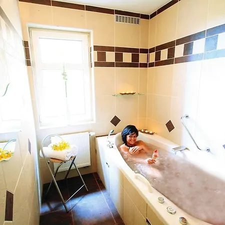 Boutique Swisshouse فندق Mariánské Lázně