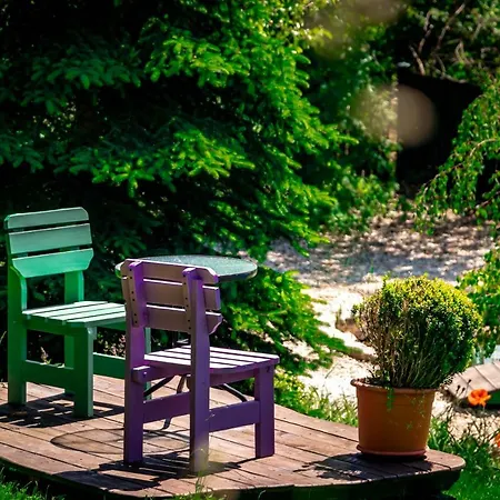 Hotel Boutique Swisshouse